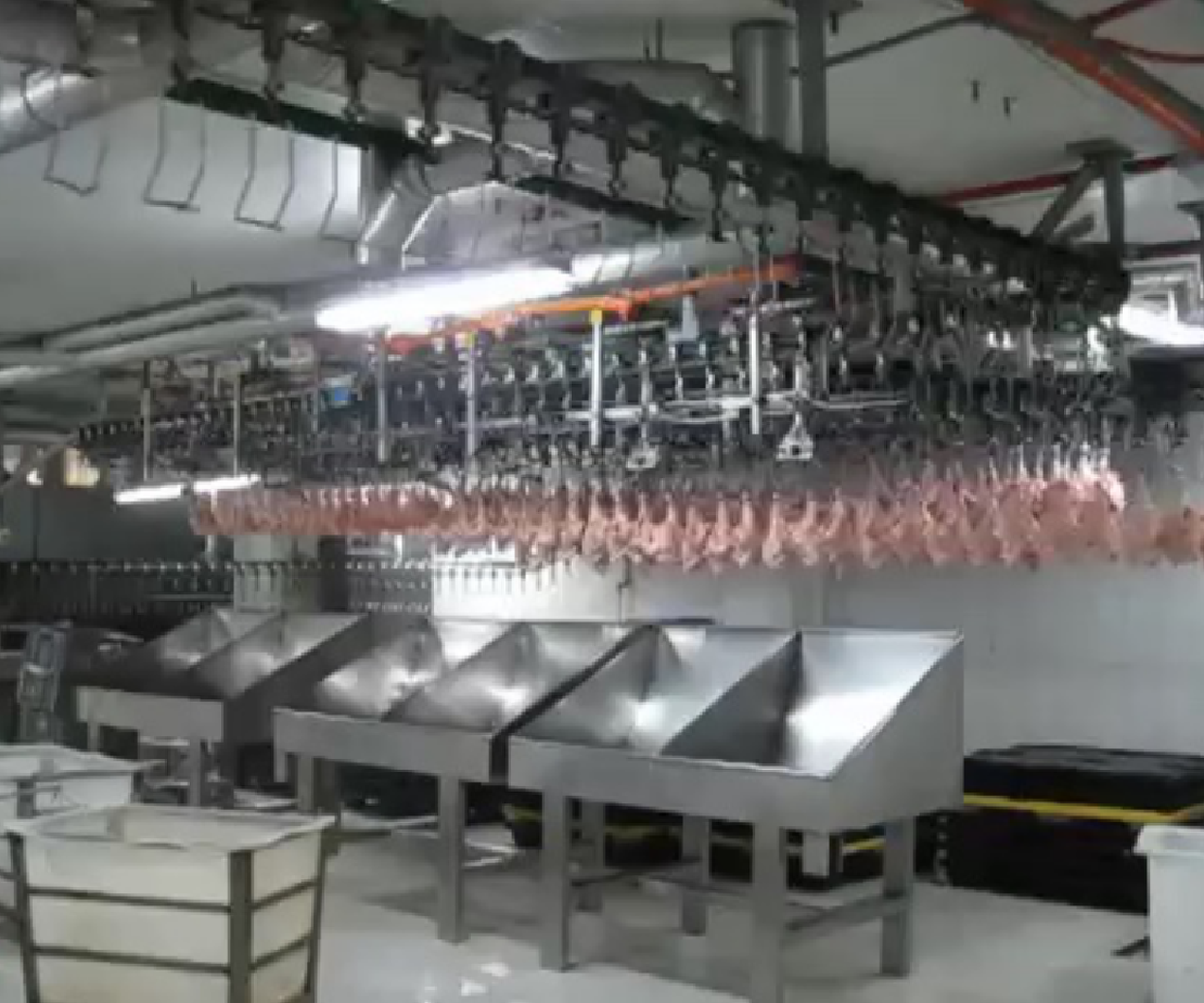 Weighing and classification of poultry
